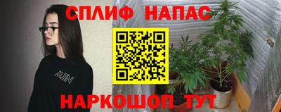 молекула духа Кулебаки